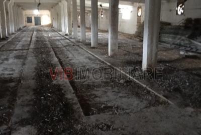 Timis - Orțișoara, hală industrială cu etaj de vânzare – 2.150 mp, teren 1.880 m - 5