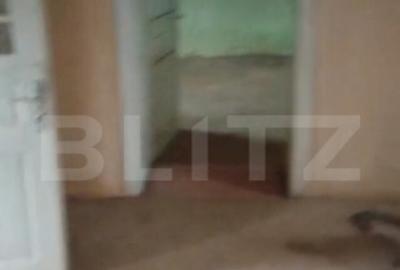 Casă cu 3 camere cu Teren 2700 Mp în Măeriște