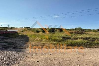 TEREN DE VANZARE | INTRAVILAN |3597 MP| BEIUS - 1