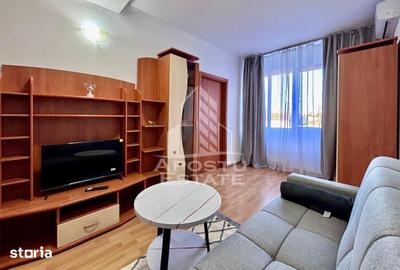 Apartament cu 2 camere în Șega - 12