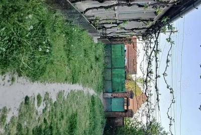 Casă cu 6 camere în Hitiaș - 6