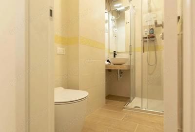 Garsoniera de inchiriat in zona Sebastian - 3