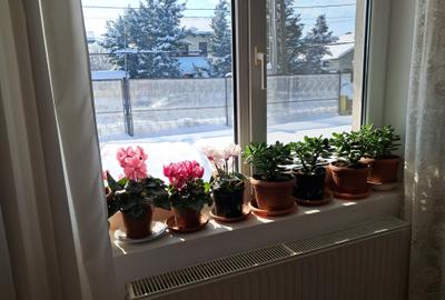 Vanzare casa individuala Otopeni, P+1+Pod, amprenta 130 mp, teren 780 mp - 29