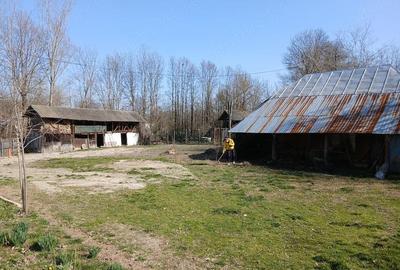 Casă cu 2 camere cu Teren 4098 Mp în Deagu de Jos - 6