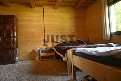 Problema e orașul. Soluția: un pârâu în curtea ta. Casa/Cabana Valea Fericirii - 9