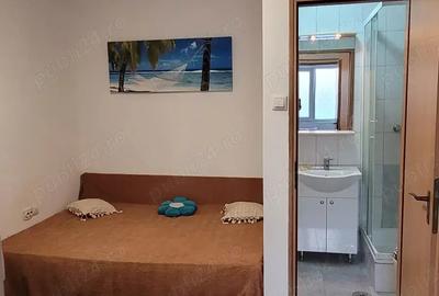 Inchiriere Garsoniera la curte Parc Bazilescu - Piata 16 Februarie - proprietar - 2