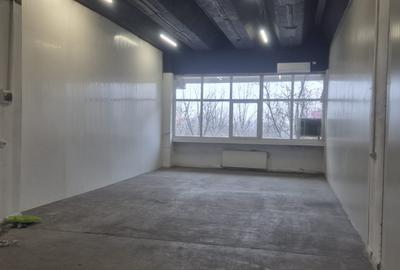 Spațiu industrial, de 270 mp, în Theodor Pallady - 4