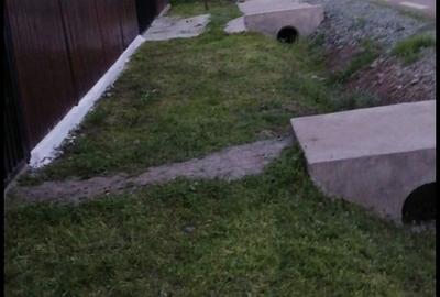 Casă cu 3 camere cu Teren 1100 Mp în Central - 2