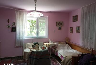 Casă cu 3 camere cu Teren 3320 Mp în Căpușu Mare - 15