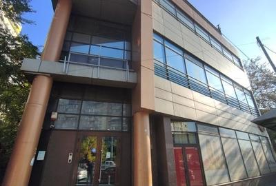 PIATA IANCULUI - metrou spatiu birouri stradal 562 mp - 13