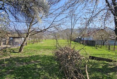 Casă individuală cu 4 camere cu Teren 2904 Mp în Dărmănești - 4