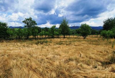 TEREN INTRAVILAN  POLOVRAGI - 7