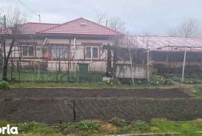 Casă cu 6 camere cu Teren 1760 Mp în Măldăeni - 7