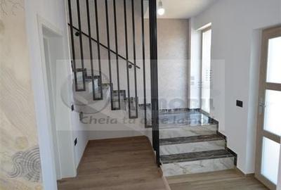 Vila in modul insiruit - Popas Pacurari - 8