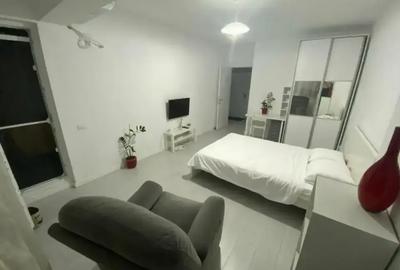 Garsonieră decomandată, mobilată în Theodor Pallady - 2