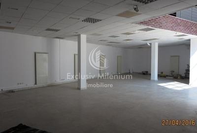 Stefan cel Mare Imobil Polivalent/Comercial/Birouri/Hala industriala - 5