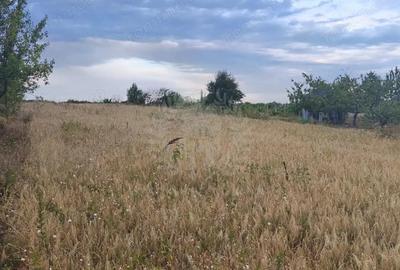 Teren de 10000 mp, în Păulești