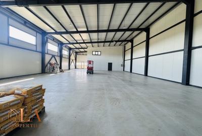 Spațiu industrial, de 425 mp, în Domnești - 14