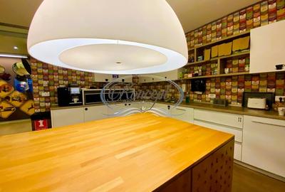 Spatiu comercial sau pentru birouri - 14