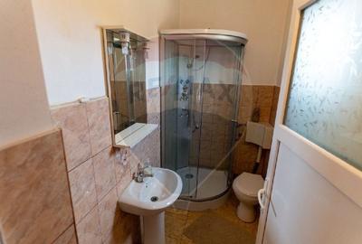 Casa / Vila de vanzare in Cristur jud.Hunedoara - 14