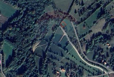 Teren 500 mp între Perdeluț și Tohanul Nou - 11