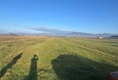 Teren de 1800 mp, în Mocira - 1
