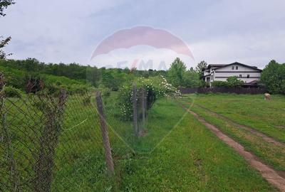 Teren Silistea Snagovului 500 mp apropiere padure - 3