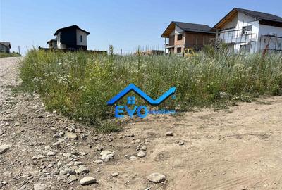 Teren de , intravilan, 453mp, deschidere 25ml, Miroslava, Ia - 2