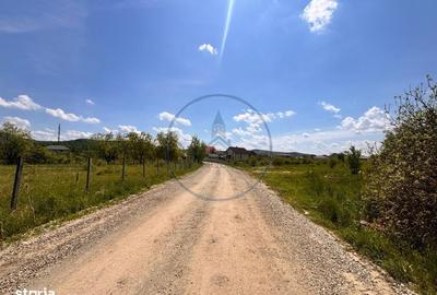 Spațiu comercial, în Unirea - 1