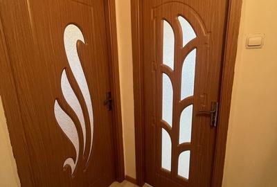 Apartament cu 2 camere semidecomandat în Viziru 3 - 5