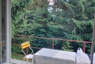 Casă individuală cu 3 camere cu Teren 860 Mp în Muntele Băișorii - 9