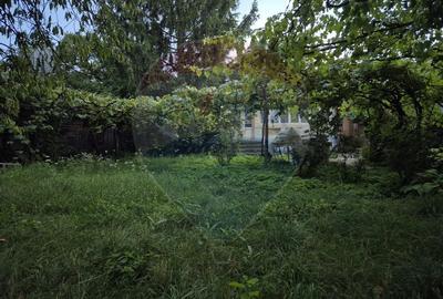 Teren de vanzare Poduri - Bacau - 11