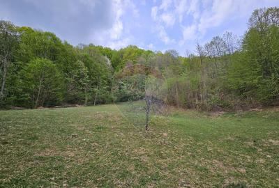 Teren superb, intravilan - la marginea padurii ! - 13