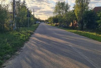 Spațiu comercial, în Apateu