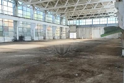 HALA + BIRORI//2200 MP//ZONA BEREASCA - 1