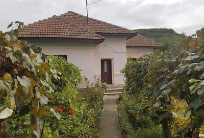 Casă cu 5 camere cu Teren 3200 Mp în Stângăceaua - 1