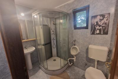 Spațiu comercial, de 120 mp, în Pipera