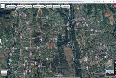 Spațiu comercial, în Baia de Fier - 1