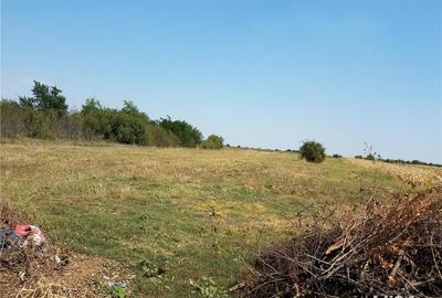 Teren de 1800 mp, în Letca Nouă - 2