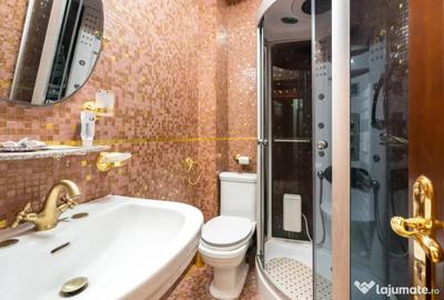 Casă cu 7 camere cu Piscina în Ciofliceni - 4
