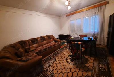 Casă cu 7 camere cu Teren 2694 Mp în Rona de Sus - 3