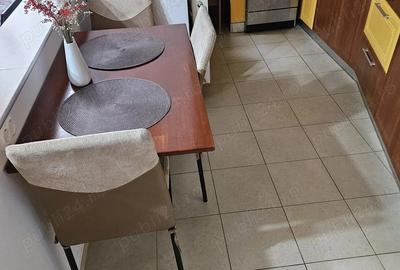 Apartament cu 2 camere semidecomandat în Turnișor - 5