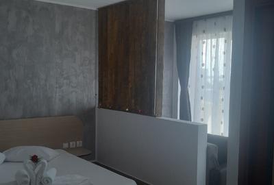 Pensiune in techirghiol - 6