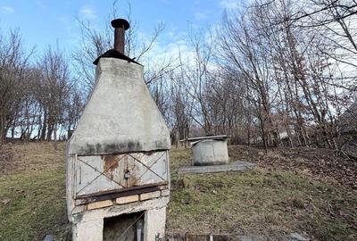 Spațiu comercial, în Cisnădioara - 3