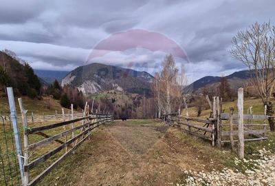 Comision 0 %/ Teren extravilan 13,570mp Pestera / Priveli... - 2