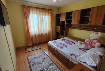 Apartament cu 3 camere decomandat în Paltiniș - 1