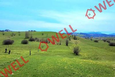 Teren agricol extravilan de 6519 mp, în Sărămaș - 7
