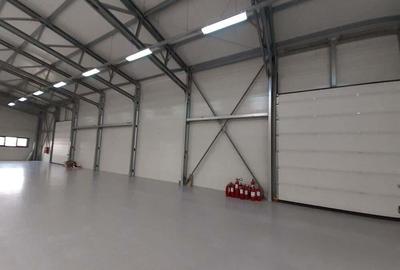 Drumul Intre Tarlale - birouri si depozitare - temperatura controlata - 34