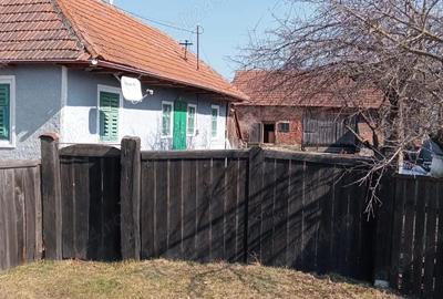 Casă cu Teren 1000 Mp în Central - 2