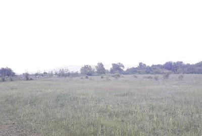 Teren de 2557 mp, în Iazu - 6